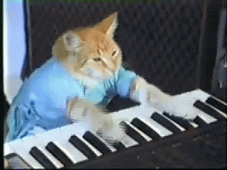 Keyboard cat playing a keyboard